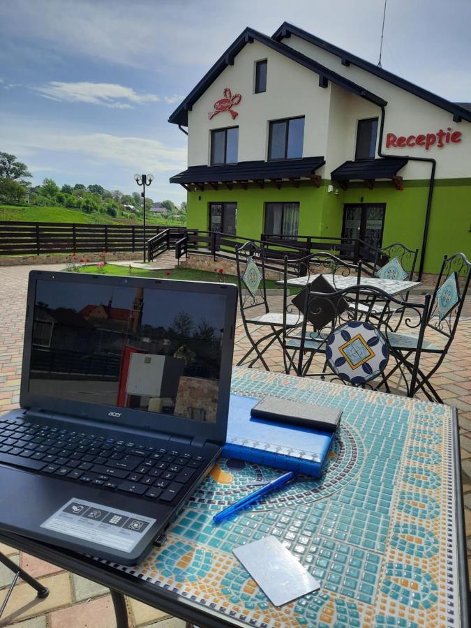 Sat De Vacanta Martisorul Cacica Exterior foto